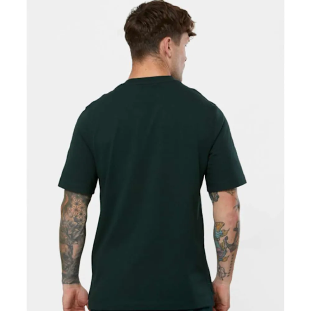 Online Canterbury Adults British And Irish Lions Stealth T-Shirt Green