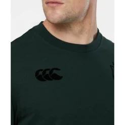 Online Canterbury Adults British And Irish Lions Stealth T-Shirt Green