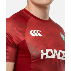 Fashion Canterbury Adults British And Irish Lions T-Shirt Red