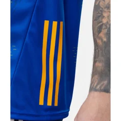 Online O'Neills Adults Wicklow 25/26 Home Jersey Blue
