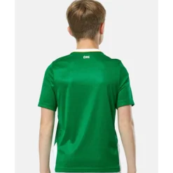 Online Castore Kids Ireland Home Jersey Green