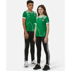 Fashion O'Neills Kids Limerick 24/25 Home Jersey Green