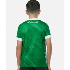 Sale O'Neills Kids Limerick 22/23 Home Jersey Green