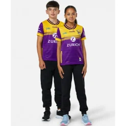 Outlet O'Neills Kids Wexford Home Jersey Purple