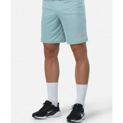 Online Nike Mens Academy Shorts Blue