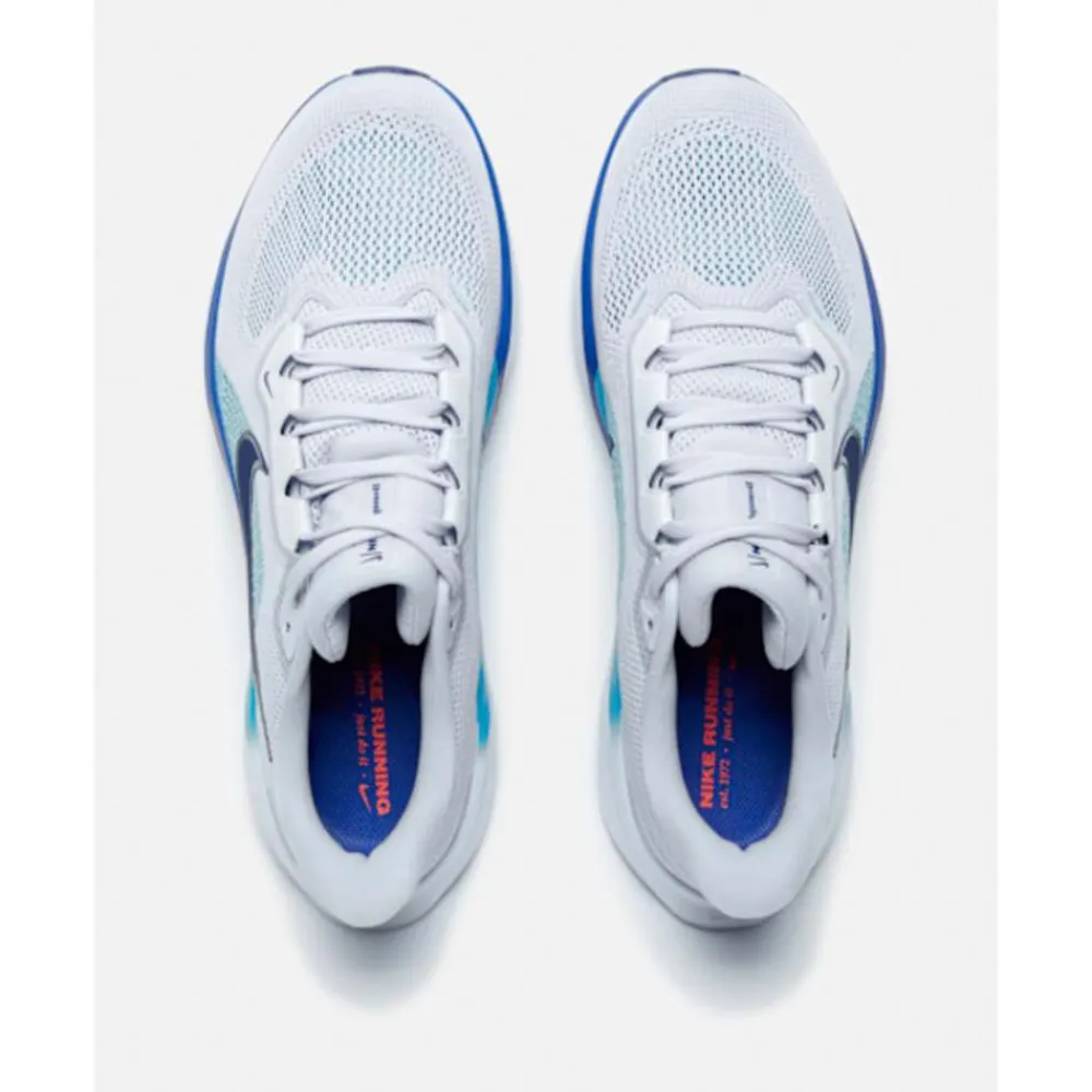 Hot Nike Mens Pegasus 41 Blue