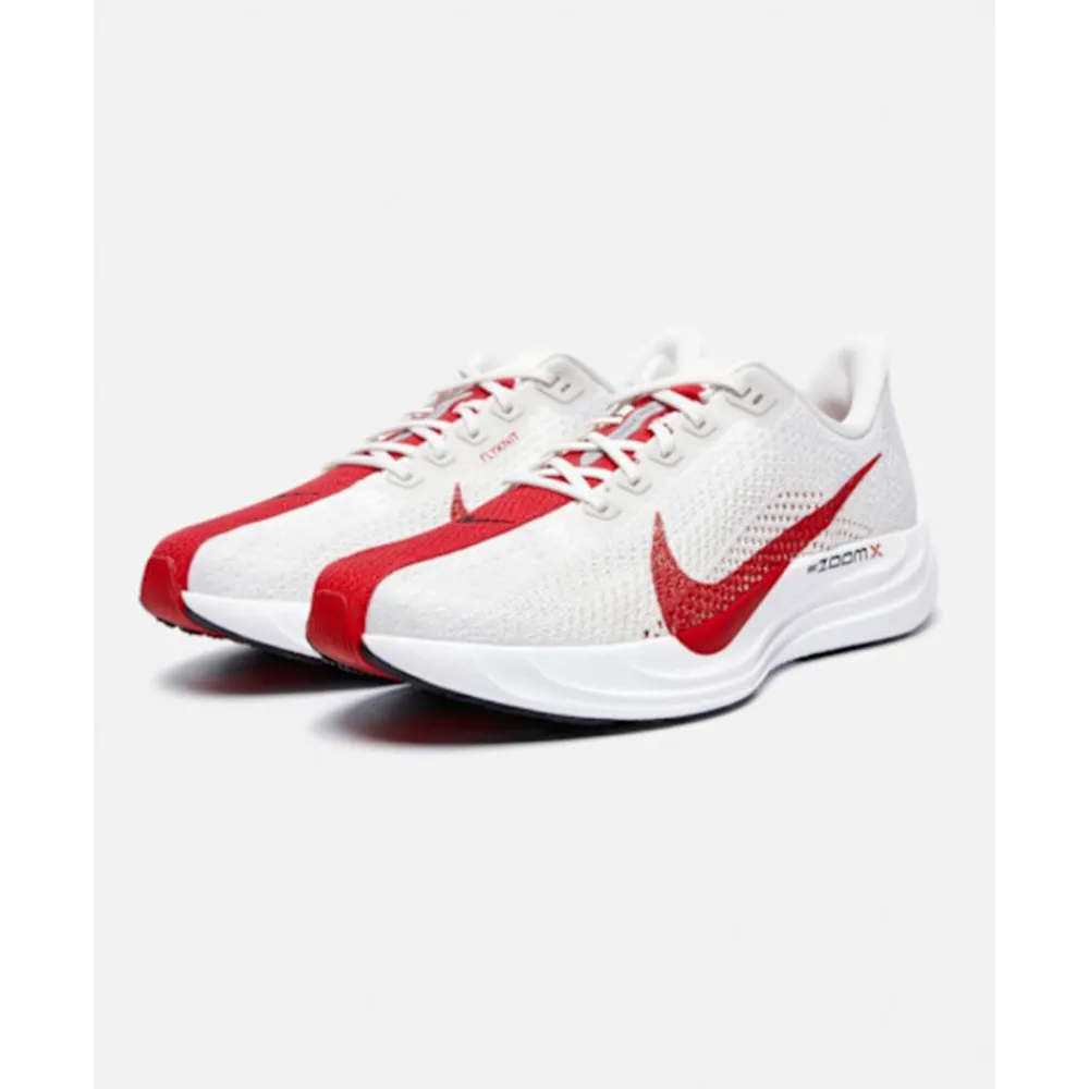Outlet Nike Mens Pegasus Plus Grey