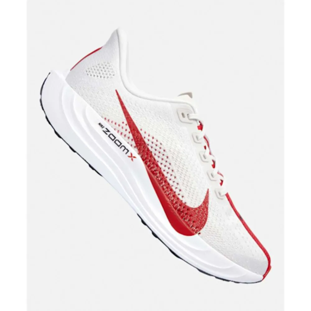Outlet Nike Mens Pegasus Plus Grey