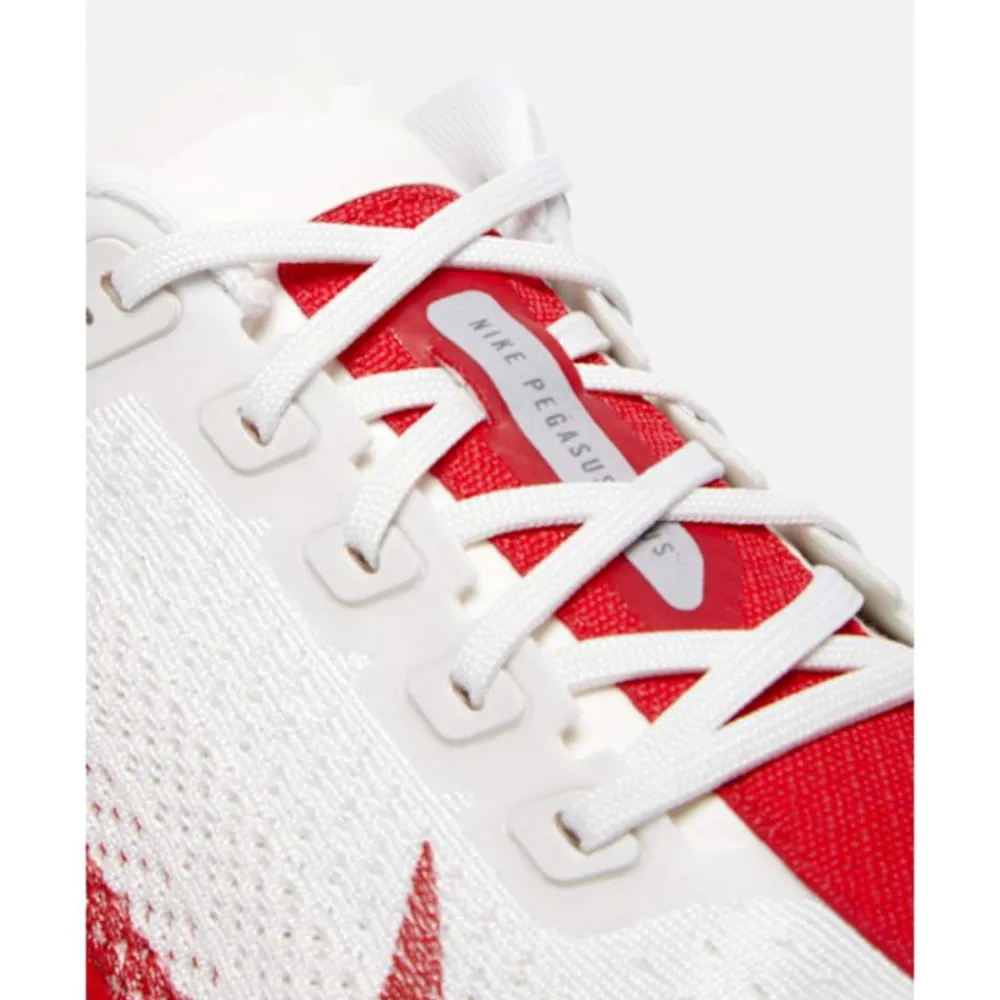 Outlet Nike Mens Pegasus Plus Grey