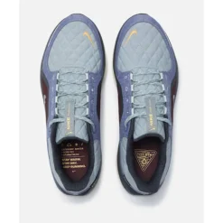 Best Nike Mens Winflo Goretex Blue