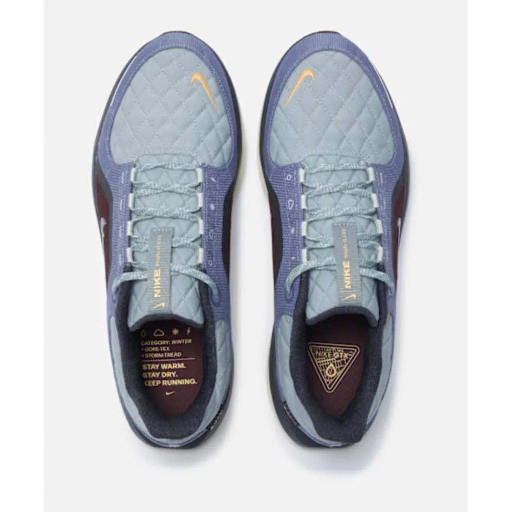Best Nike Mens Winflo Goretex Blue