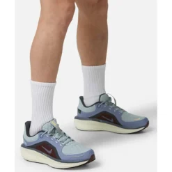 Best Nike Mens Winflo Goretex Blue