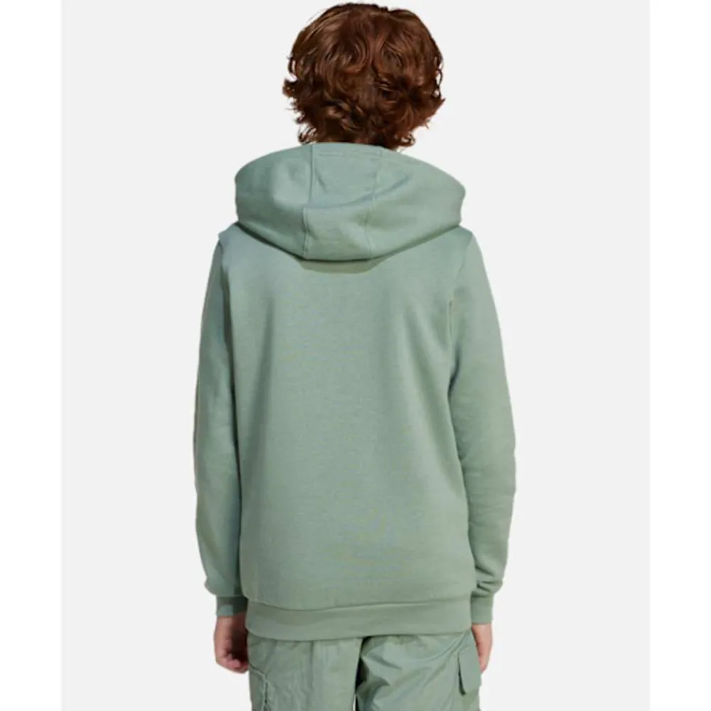 Online adidas Originals Older Kids Trefoil Hoodie Green