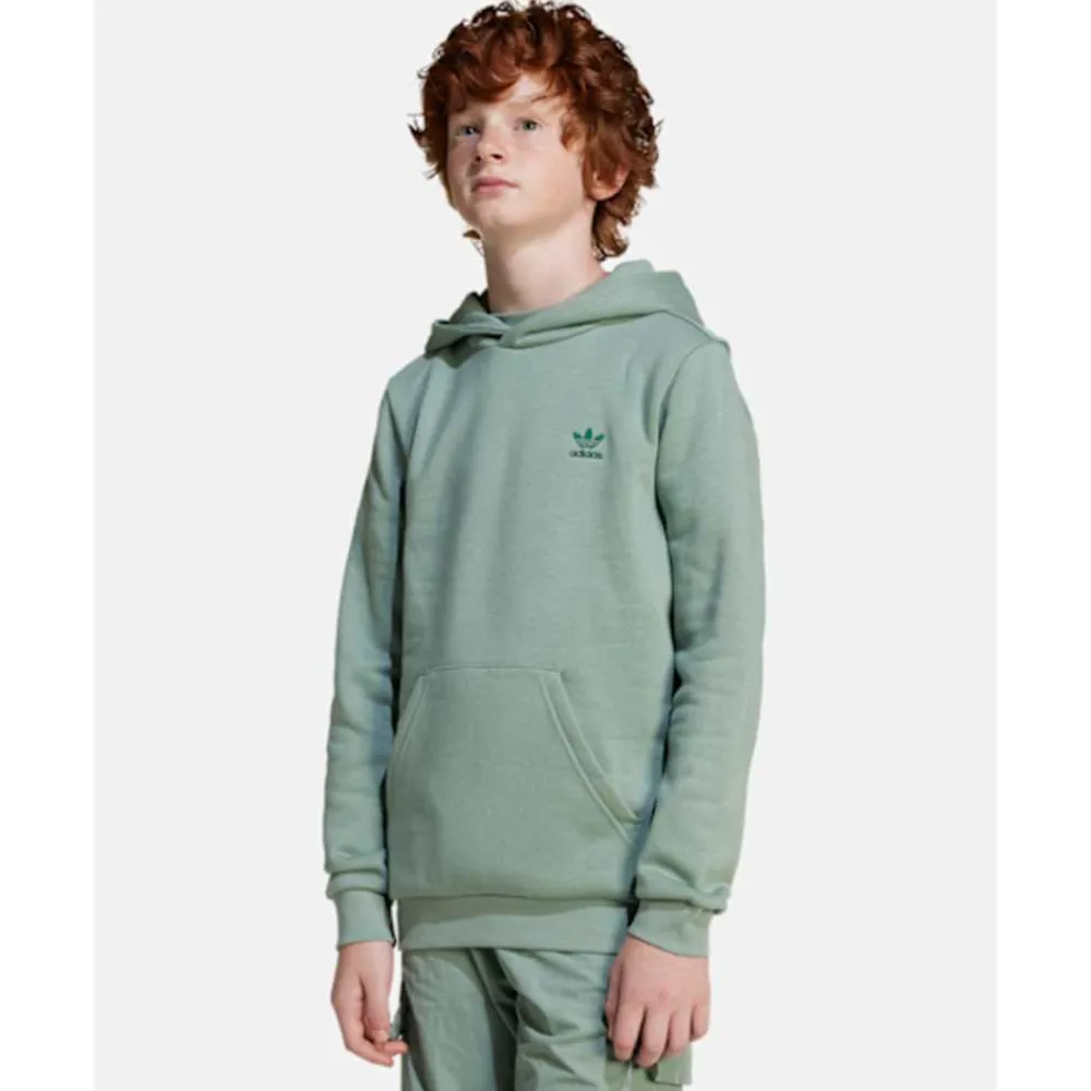 Online adidas Originals Older Kids Trefoil Hoodie Green